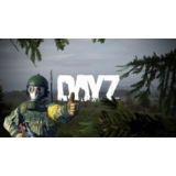 DayZ п2-п3 Ps4 PS5