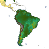 🌦️ Continents - South America Bundle | MSFS, P3D, XP11