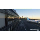🛫 LPHR Horta Airport | MSFS 2020/2024