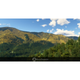 🌦️ AccuSeason Advanced Edition | MSFS