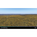 🌦️ xAmbience Pro | X-Plane 11