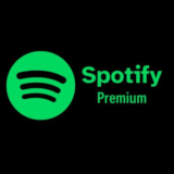 ✔️Spotify Premium 12 месяцев✔️Для любых аккаунтов ✔️