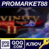 ⭐ Divinity: Original Sin 2 - Divine Ascension DLC GOG К