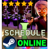 ・SCHEDULE I — ОНЛАЙН・STEAM АККАУНТ + ИГРЫ・