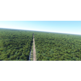 🌦️ North America Railways Tree Clearing | MSFS