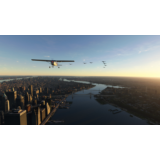 🌦️ FS Birds - Central USA | MSFS