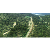 🌦️ Europe & UK Railways Tree Removal | MSFS