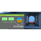 🎮 SkyShare: Shared Cockpit Controls | MSFS
