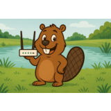 Bober VPN ключ 30 дней Безлимит трафик VLESS
