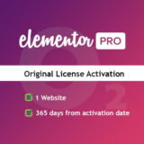 Elementor Pro: Доступ на 1 год–Создавайте как про