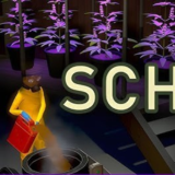 ・ SCHEDULE ・ STEAM ・ ВСЕ ДЛС