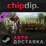 Total War: ROME II - Caesar in Gaul DLC STEAM АВТО