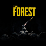 🔥The Forest🔥PS4