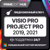 Visio Project Pro 2019/2021