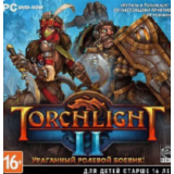Torchlight II / Steam ключ / РФ+СНГ