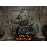 Blackthorn Arena: Reforged / Steam Ключ / РФ+СНГ