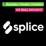 🎵 Splice | Sounds+, Creator, Creator+ | На ваш аккаунт