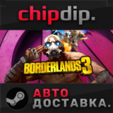 Borderlands 3 STEAM АВТО RU/UA/KZ/СНГ
