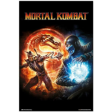 🔥 Mortal Kombat 9 (steam)