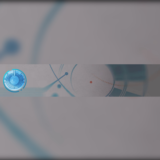 Destiny 2 - Emblem (Миопия) PC, PS, Xbox