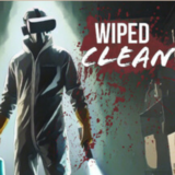Wiped Clean Oculus Quest