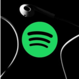 1/3 SPOTIFY PREMIUM ИНДИВИДУАЛЬНЫЙ/ДУЭТ/СЕМЬЯ | БЫСТРО