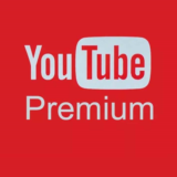 YouTube Premium [Individual/делить] [На вашем аккаунте]