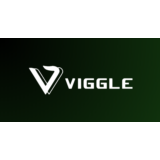 Viggle AI Pro/Live Plan Подписка на свою учетную запись