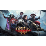 Divinity Original Sin 2 - Оффлайн