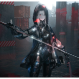 Punishing: Gray Raven ДОНАТ ШУСТРАЯ ДОСТАВКА
