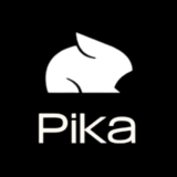 Купить Pika.art Ai | Standard, Pro, Fancy | Месяц | Ваш