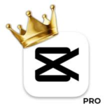 ПЕРСОНАЛЬНЫЙ АККАУНТ CAPCUT PRO 1/12 МЕСЯЦЕВ ПОЛНАЯ ГАР