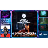 Stray Steam