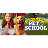 Paws & Claws: Pet School Steam Key GLOBAL