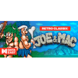 Retro Classix: Joe & Mac - Caveman Ninja Steam Key