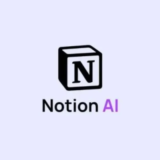Notion PLUS Plan Подписка на вашу учетную запись 2 года
