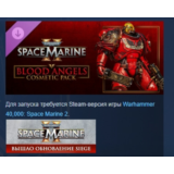 Warhammer 40,000: Space Marine 2 Blood Angels Cosmetic