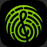 YOUSICIAN ПОДПИСКА PREMIUM PLUS НА 1  ГОД