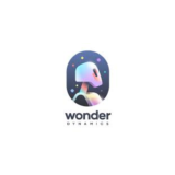 Оптимизация учетной записи Wonderdynamics на 1 месяц