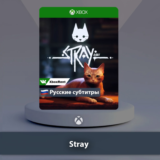 ☀️ Stray 🎮 Xbox One | Series X|S