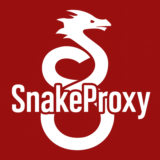WireGuard Конфиг от SnakeProxy