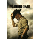 The Walking Dead • РУ+МИР • STEAM ПОДАРОК