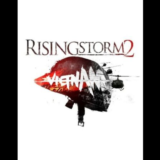 ✈️Rising Storm 2😱Vietnam🧟‍♂️Ключ🔑Steam GLOBAL🌍