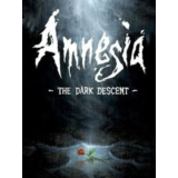 Amnesia: The Dark Descen | Доставка на ваш аккаунт Epic