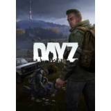 Steam Dayz (стандартное издание, новый аккаунт)
