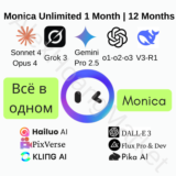 Всё в одном Monica AI Безлимит | 1 месяц / 12 месяцев