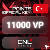 ⭐️ 11000 ПО — очки доблести (официальный КЛЮЧ) — Турция