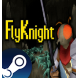 ・FLYKNIGHT (2025)・STEAM АККАУНТ + ИГРЫ・
