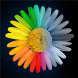 PRO для Color Touch Effects Photo Editor Microsoft ПК
