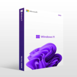 Windows 11 Pro OEM — мгновенная доставка